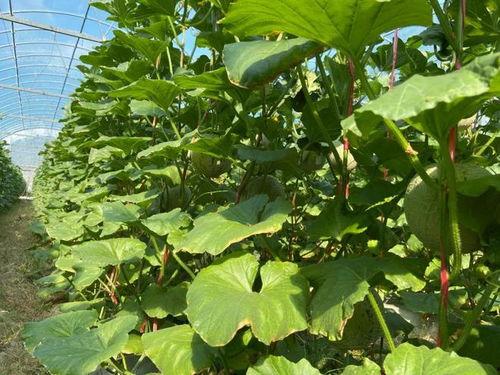 娱乐吃瓜2022,年度热点事件大盘点