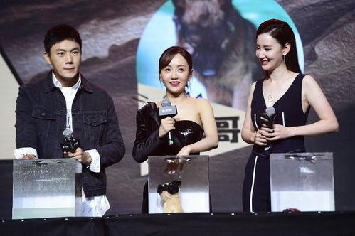 娱乐圈吃瓜综艺文推荐,明星幕后故事大揭秘,吃瓜综艺文推荐盘点